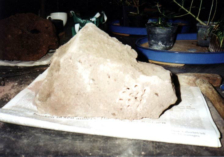 Der Stein mit einer vorgebohrten Pflanzffung